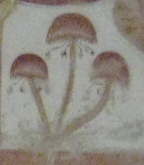 Les Méduses (Roman)