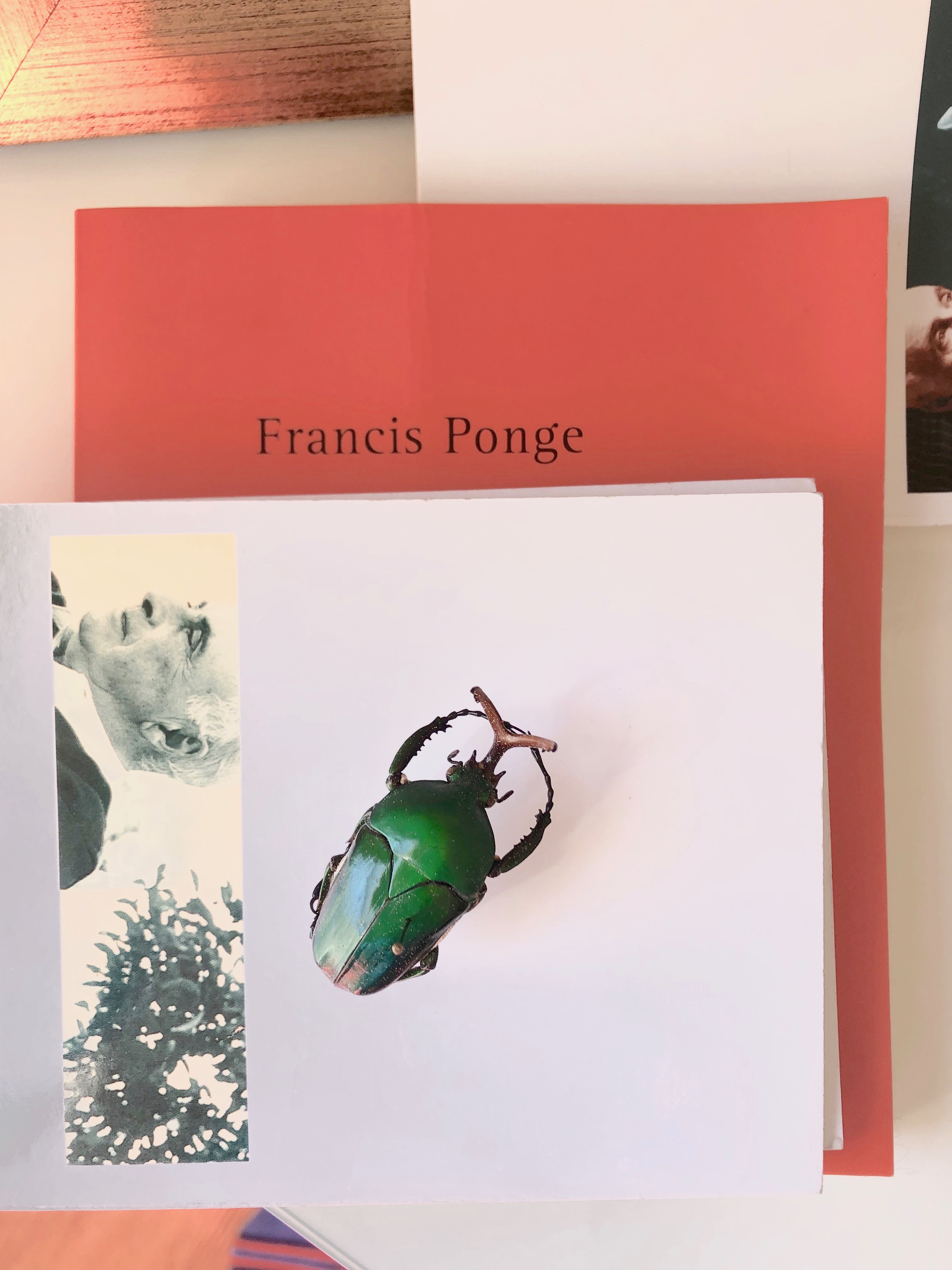 The Lost Language of Ponge (inachevé)