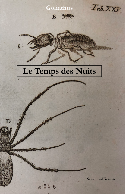 Le Temps des Nuits (Nouvelle Ebook)